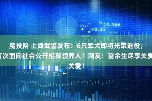 魔投网 上海武警发布：6只军犬即将光荣退役，首次面向社会公开招募领养人！网友：望余生尽享关爱！