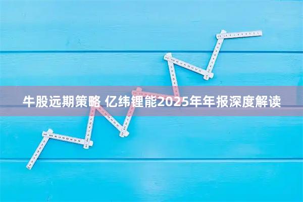 牛股远期策略 亿纬锂能2025年年报深度解读